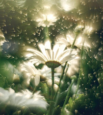 Helios 44M-4 f2/58MM Trioplan