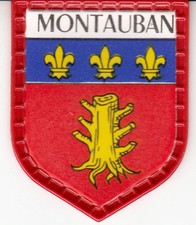 ECUSSON VILLE FRANCAISE N° 141 *MONTAUBAN*  (FRANCE LAIT / QUICK-LAIT REGILAIT)