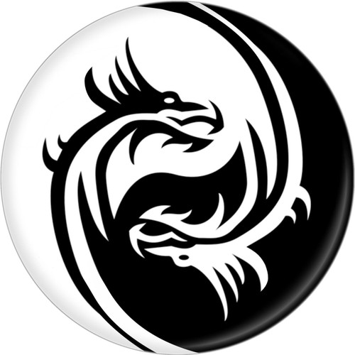 Magnete yin yang dragons - magnete,