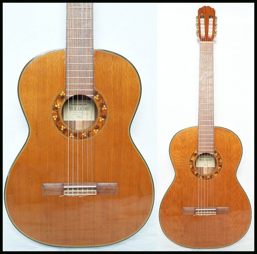 Takamine tgl1 chitarra - tgl1,
