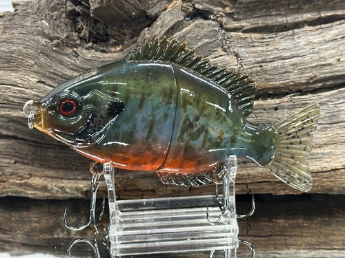 Esca nuoto bluegill - nuoto,