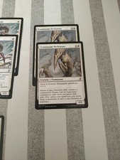 Lotto Carte Magic The