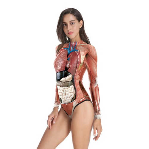 Medical science anatomy - medical,