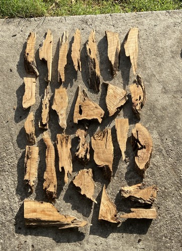 Lotto scarti legno ulivo - lotto,