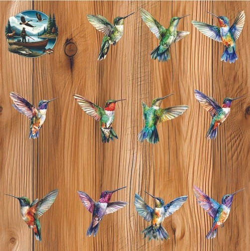 12x adesivo vinile colibrì - adesivo,