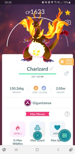 Non shiny gigantamax - 🔥non,