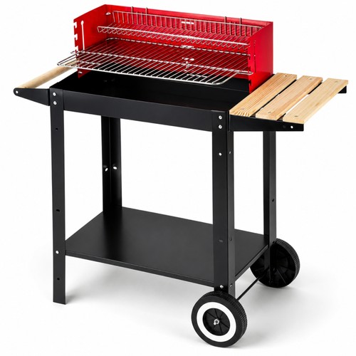 Barbecue carbone con griglia - a,