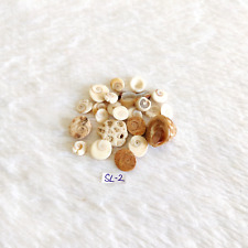 Conchiglie Vintage Vecchie