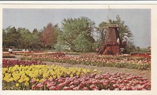 Tulip time holland - holland, michigan