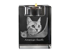 Americano Shorthair - Portacandele Con Foto Di Gatto, Portacandele In Cristallo