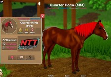Wild Horse Islands - QUARTO