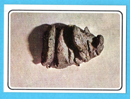 Risorgimento italiano panini - risorgimento, italiano-panini