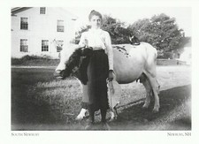 *Cartolina New Hampshire -