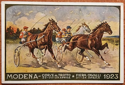 Modena corse trotto - corse, al