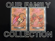 Spearow Fearow Pokemon 2024