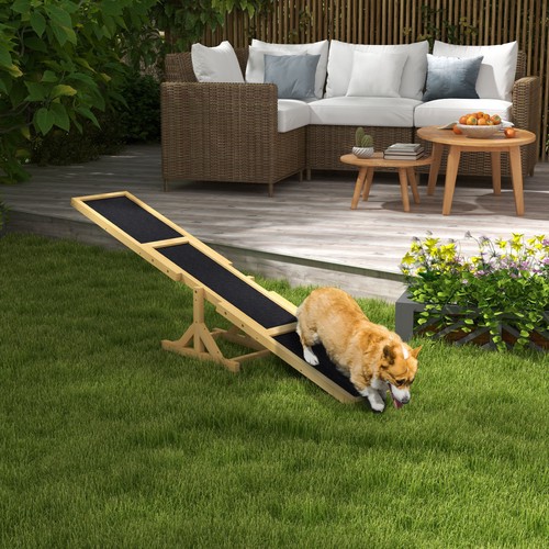 Wooden dog agility - agility, seesaw
