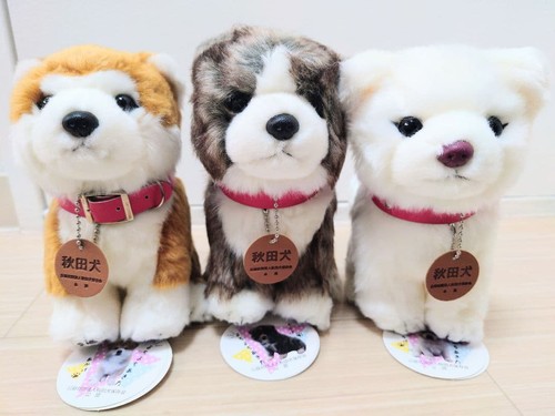 Akita inu preservation society - akita,