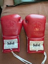 Guantoni da boxe Centauro