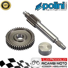 202.1370 INGRANAGGI RAPPORTI