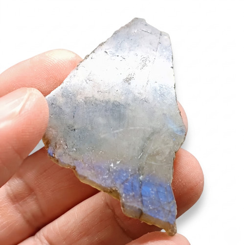 Labradorite flash blu del - 21, g