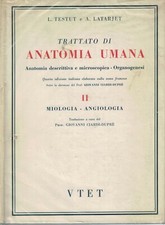 Trattato anatomia umana - trattato, di