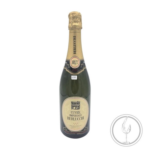 Vintage bottle berlucchi - vintage,