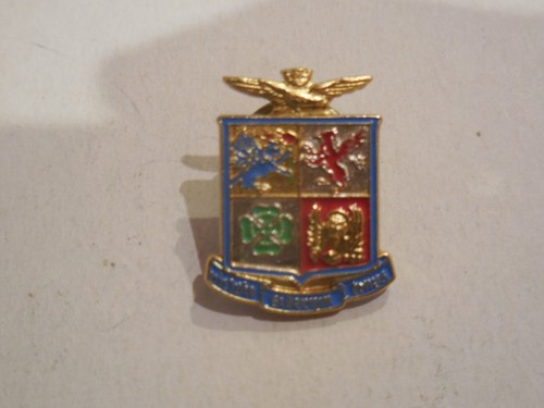 Distintivo aeronautica - distintivo,