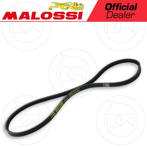 Malossi 617314 cinghia - malossi,