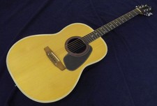 Applause By Ovation Ae-14 Consegna sicura dal Giappone