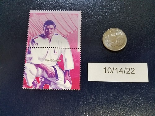 David douillet judo champion - david,
