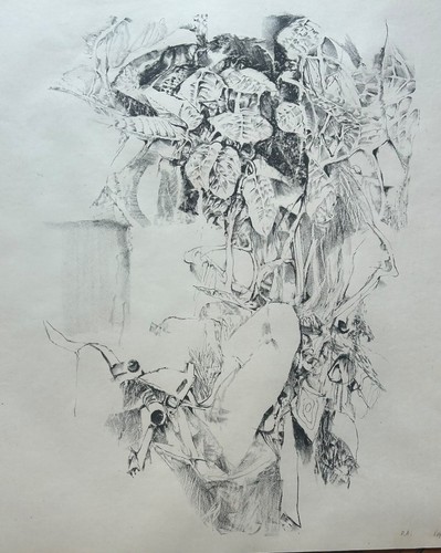Quadro litografia renzo - quadro,
