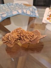  Minerale Pietra Rosa del deserto 