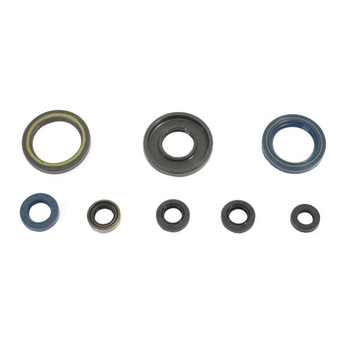 Serie parolio motore ktm - parolio, 250