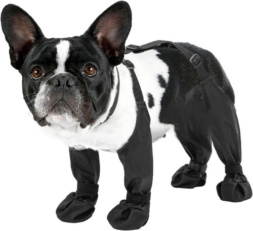 Stivali per cani con - per,