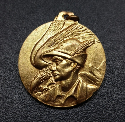 Medaglia militare - medaglia,