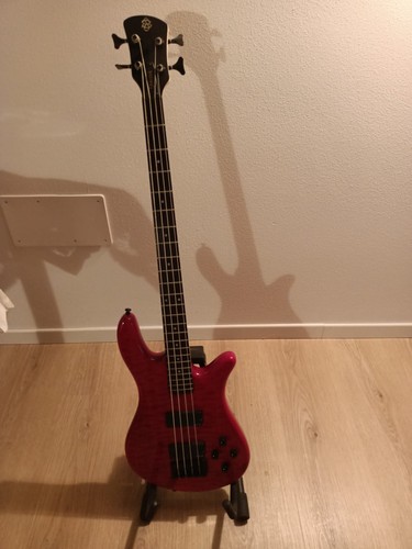 Basso spector legend classic - legend,
