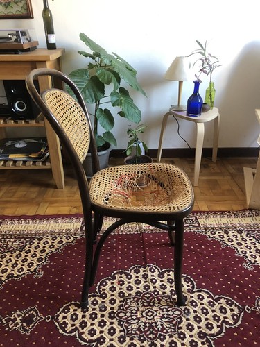 Sedie legno paglia di - legno,