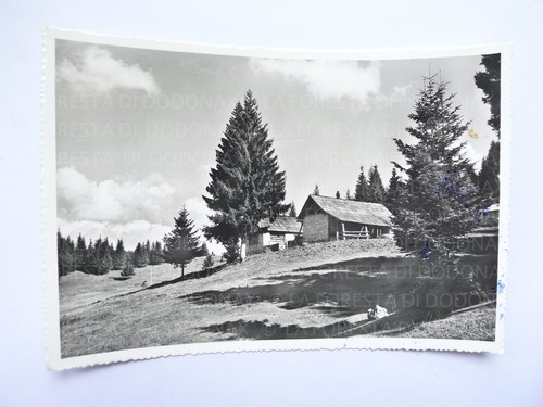 Foto vecchia cartolina - foto,