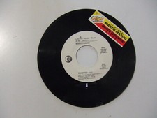 Marco Masini / Marco Ferradini