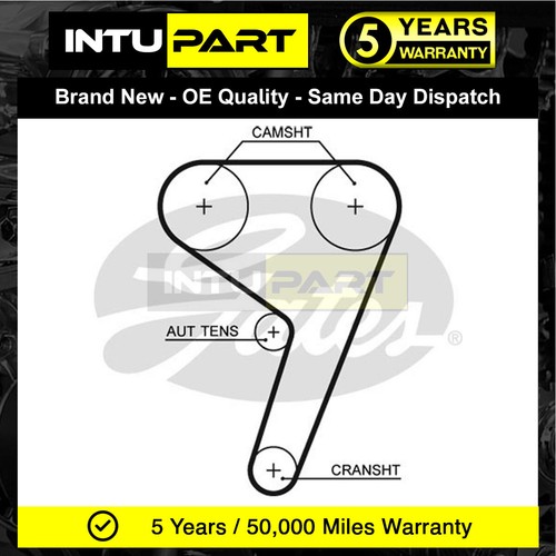 Cinghia distribuzione intupart - cinghia,