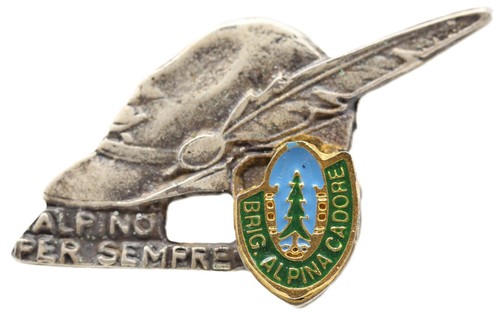 Distintivo alpini brigata - distintivo,