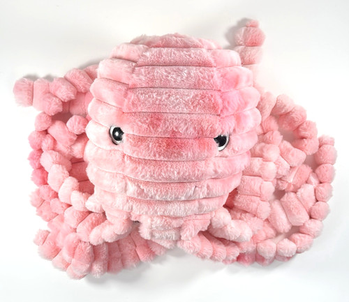 Polpo peluche - polpo,