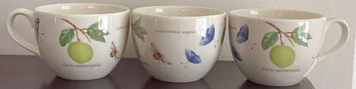 Wedgwood sarah garden piatti - garden,