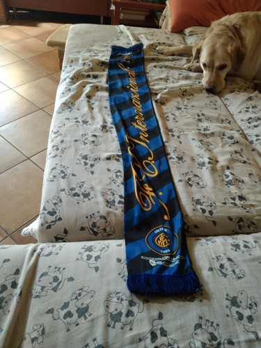 Sciarpa internazionale - sciarpa,