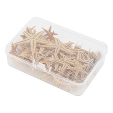 Accattivante stelle marine