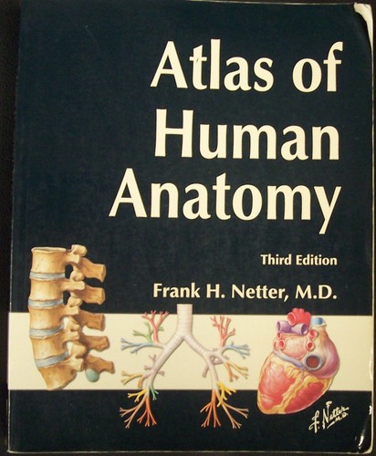 Atlas human anatomy third - anatomy,,