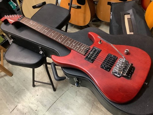 Washburn nuno bettencourt - washburn,