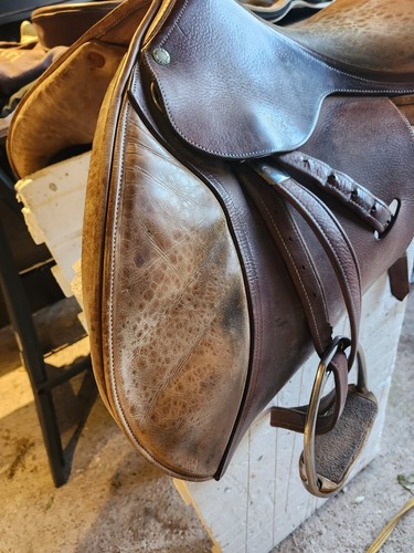 Sella equitazione inglese - sella,
