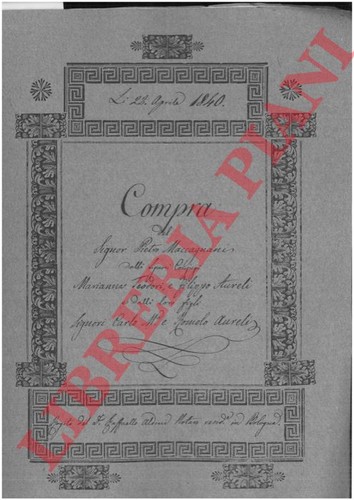 Maccagnani aureli compra - aureli,