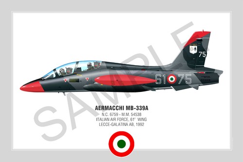 Aermacchi 339a squadron - aermacchi,